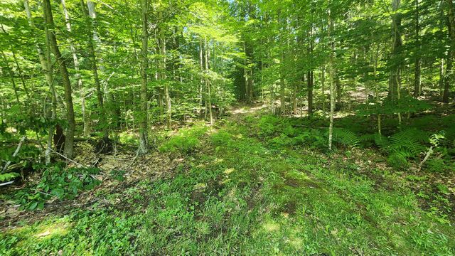 1372 Potash Brook Road, Chester, VT 05143