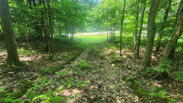 1372 Potash Brook Road, Chester, VT 05143