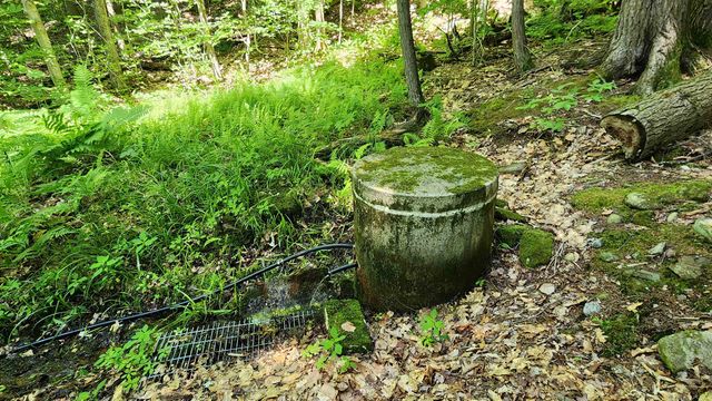 1372 Potash Brook Road, Chester, VT 05143