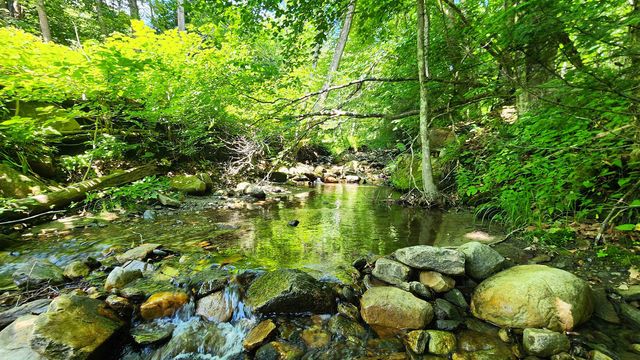 1372 Potash Brook Road, Chester, VT 05143