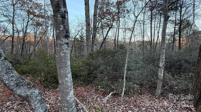 0 Quail Ridge Road, Lake Lure, NC 28746