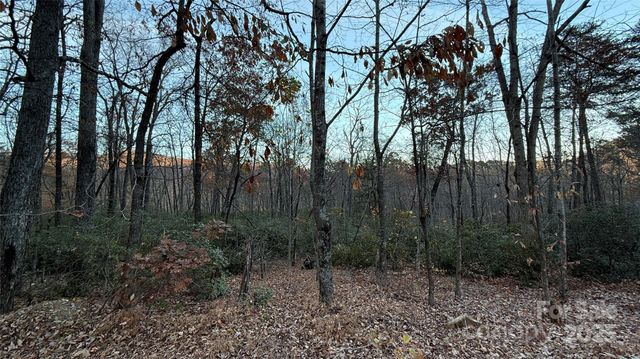 0 Quail Ridge Road, Lake Lure, NC 28746