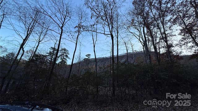 0 Quail Ridge Road, Lake Lure, NC 28746
