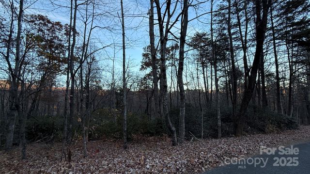 0 Quail Ridge Road, Lake Lure, NC 28746