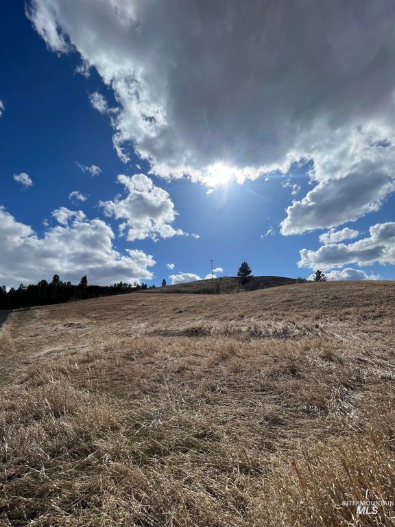 NKA Raven Dr., Culdesac, ID 83524 photo 14