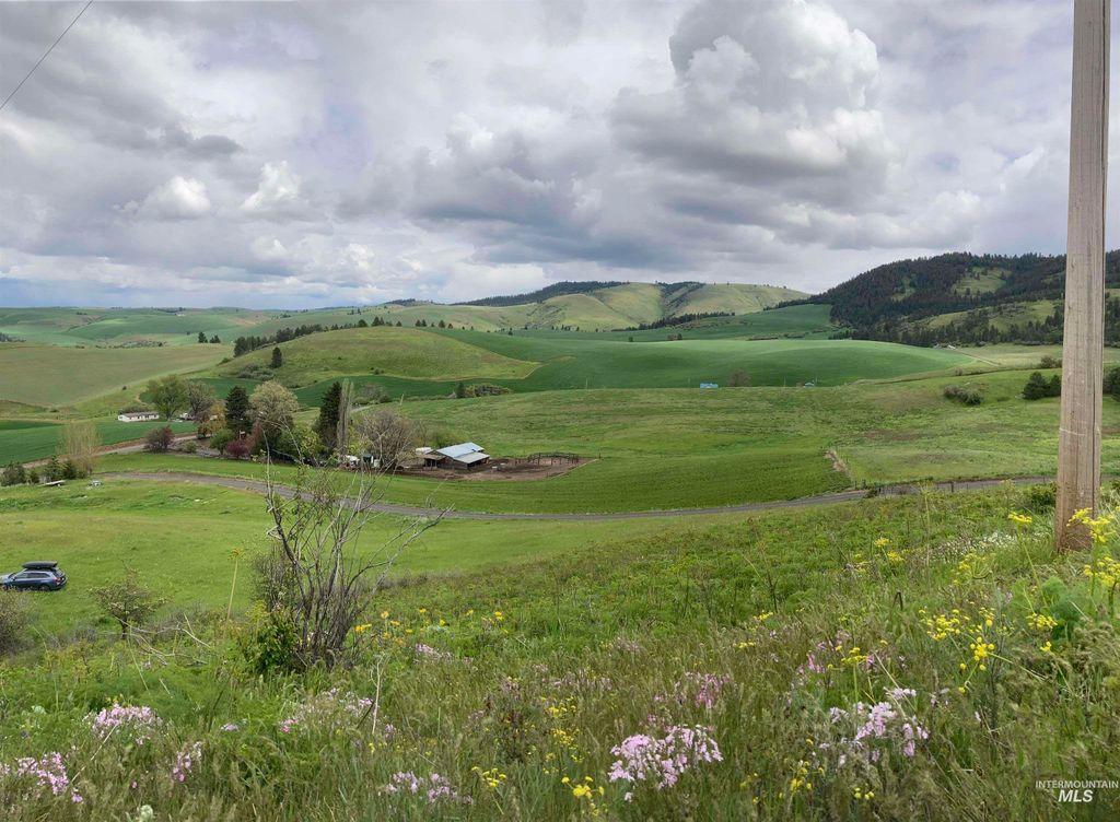 NKA Raven Dr., Culdesac, ID 83524 photo 2