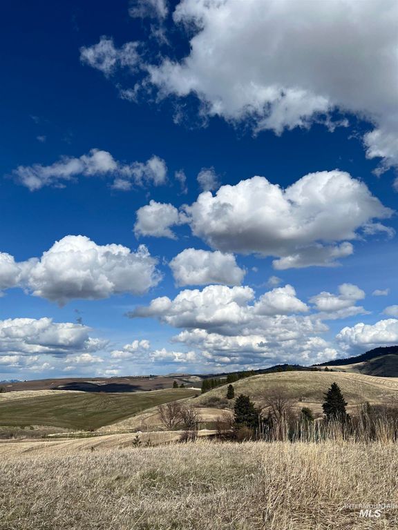 NKA Raven Dr., Culdesac, ID 83524 photo 19