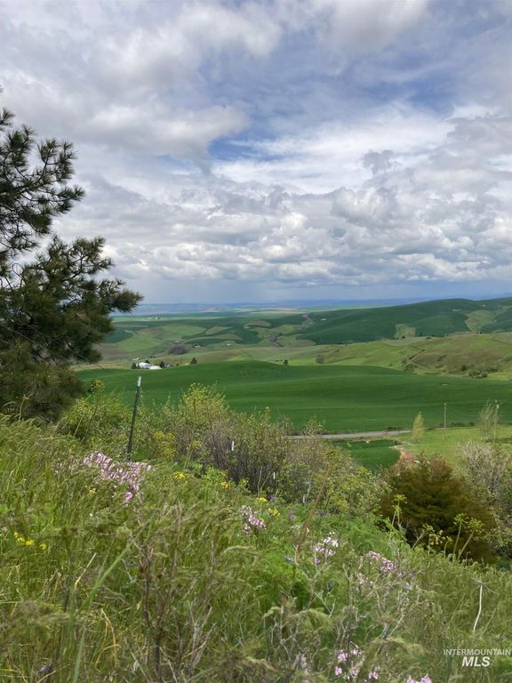 NKA Raven Dr., Culdesac, ID 83524 photo 3