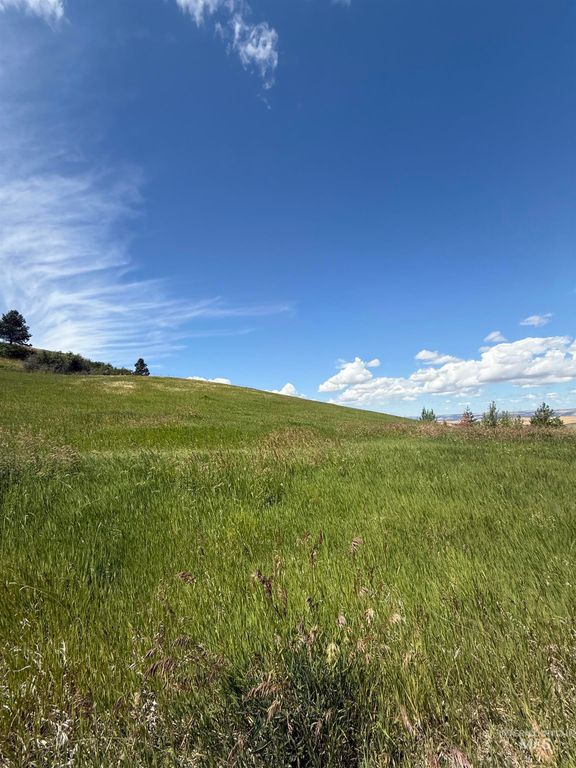 NKA Raven Dr., Culdesac, ID 83524 photo 4