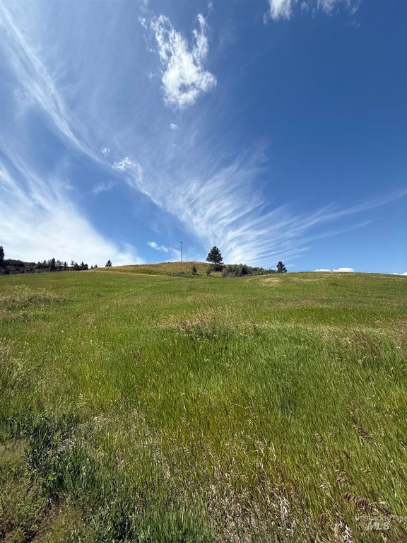 NKA Raven Dr., Culdesac, ID 83524 photo 5