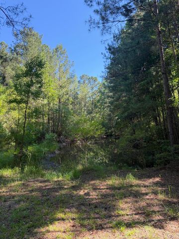 3125 State Road, Summerville, SC 29483
