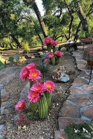 5975 Silverado Trl, Napa, CA 94558