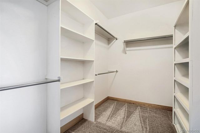 5387 Trade Wind Court, Windsor, CO 80528