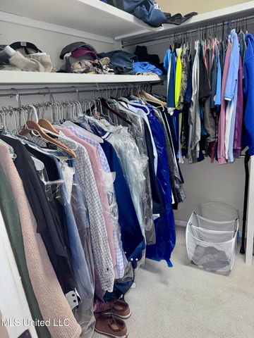 236 Sawbridge Drive, Ridgeland, MS 39157