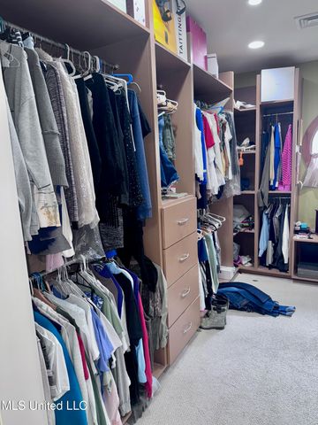 236 Sawbridge Drive, Ridgeland, MS 39157