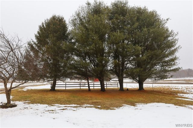 6450 Campbell Road, Pike, NY 14066