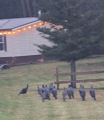 6450 Campbell Road, Pike, NY 14066