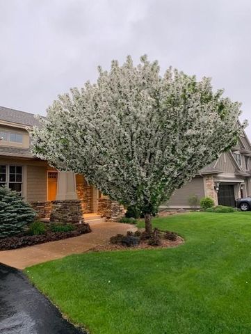 3673 Lerive Way, Chaska, MN 55318
