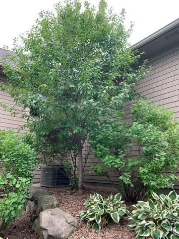 3673 Lerive Way, Chaska, MN 55318