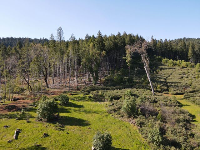 4884 Lower Grave Creek Road, Wolf Creek, OR 97497