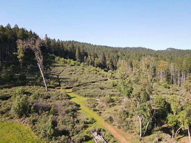 4884 Lower Grave Creek Road, Wolf Creek, OR 97497