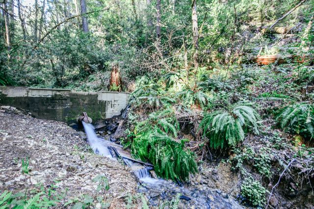 4884 Lower Grave Creek Road, Wolf Creek, OR 97497