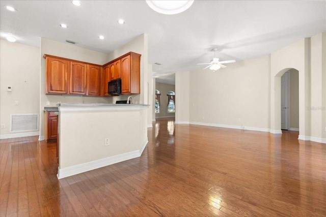 19027 DOVE CREEK DRIVE, Tampa, FL 33647