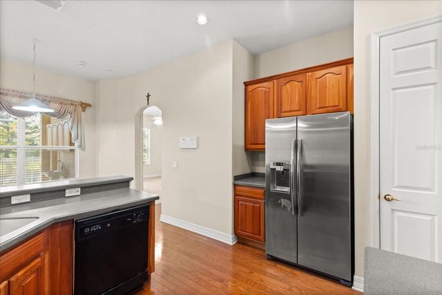 19027 DOVE CREEK DRIVE, Tampa, FL 33647