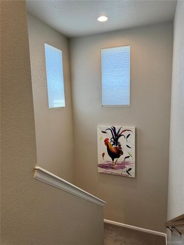 11235 S Neu Towne Circle, Parker, CO 80134