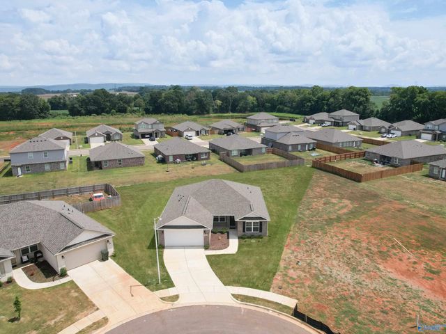 141 Domingues Avenue, Meridianville, AL 35759