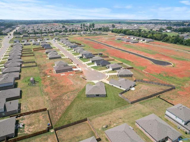 141 Domingues Avenue, Meridianville, AL 35759