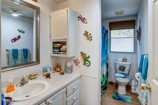 958 Avery Branch Road, Mountain City, TN 37683