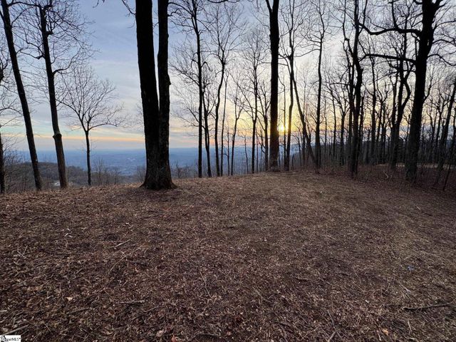 278 Bella Vista Court, Zirconia, NC 28790