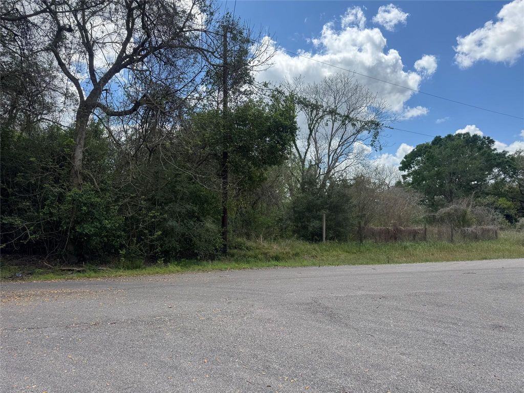 0 County Road 898, West Columbia, TX 77486