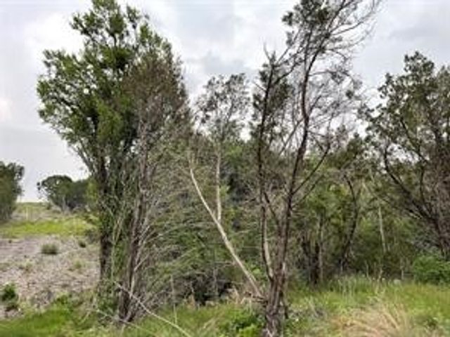 1083 Cedar Hill Drive, Nemo, TX 76070