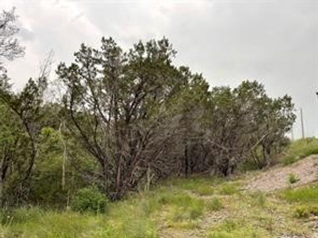 1083 Cedar Hill Drive, Nemo, TX 76070