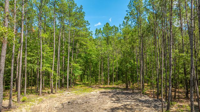 6774 Spring Grove Road, Adams Run, SC 29426