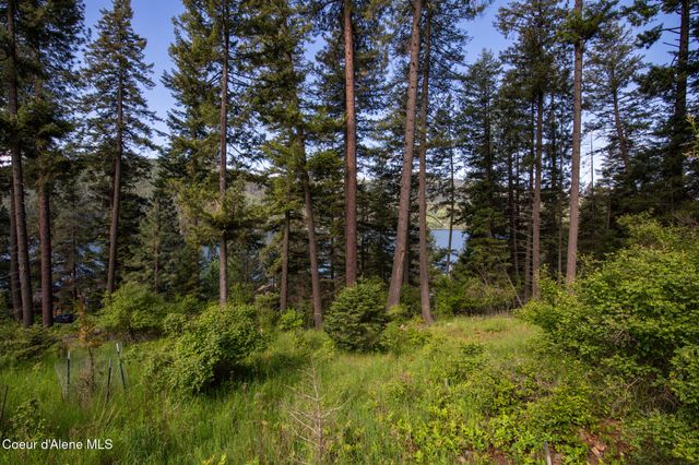156 Beltane PL, Sagle, ID 83860