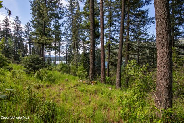 156 Beltane PL, Sagle, ID 83860