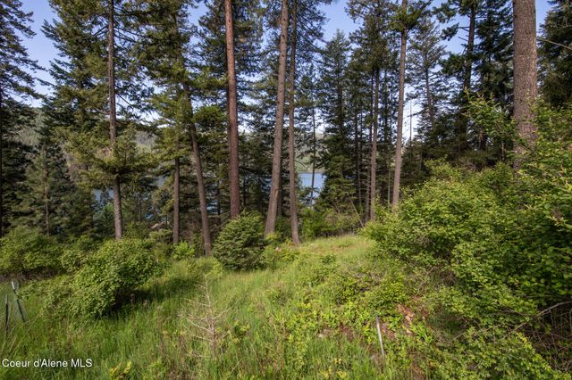 156 Beltane PL, Sagle, ID 83860