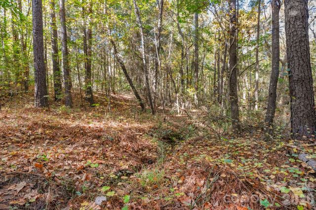 00 Charleston Court 9, Indian Land, SC 29707