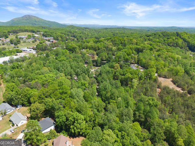 162 Greenview Court, Cleveland, GA 30528