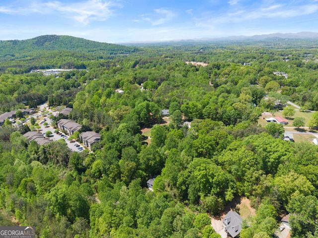 162 Greenview Court, Cleveland, GA 30528