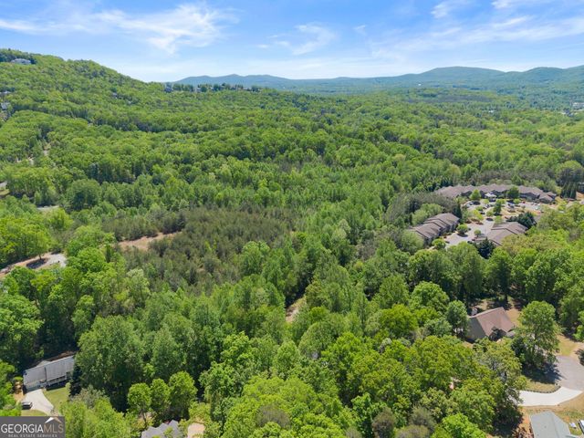 162 Greenview Court, Cleveland, GA 30528