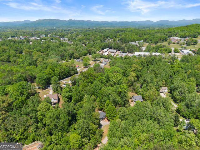 162 Greenview Court, Cleveland, GA 30528