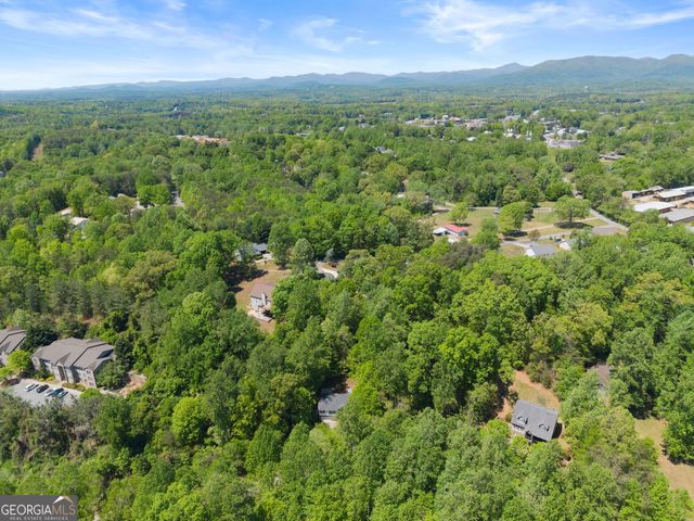 162 Greenview Court, Cleveland, GA 30528
