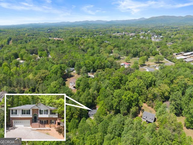 162 Greenview Court, Cleveland, GA 30528