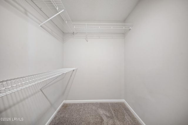 20 Cedar Crest Circle, Beaufort, SC 29907