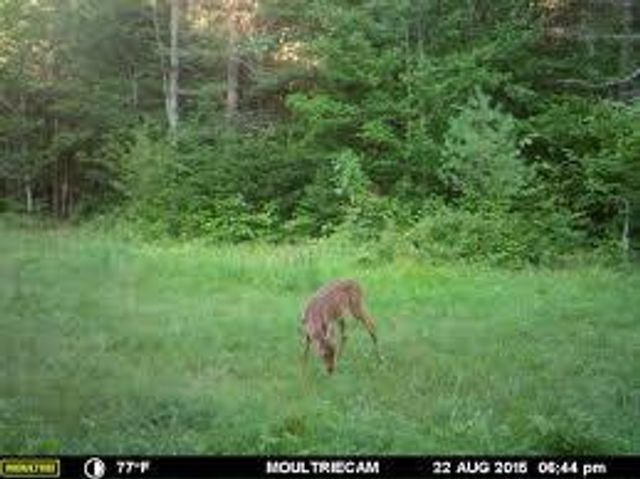 1501 Wire Road, Aiken, SC 29805