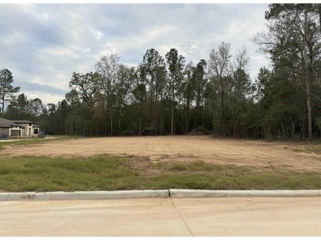 1609 Leona Lane, Montgomery, TX 77316